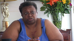 Mom's Apple Pie: The Heart of the Lesbian Mothers' Custody Movement