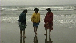 Summer In My Veins (Director's Cut)